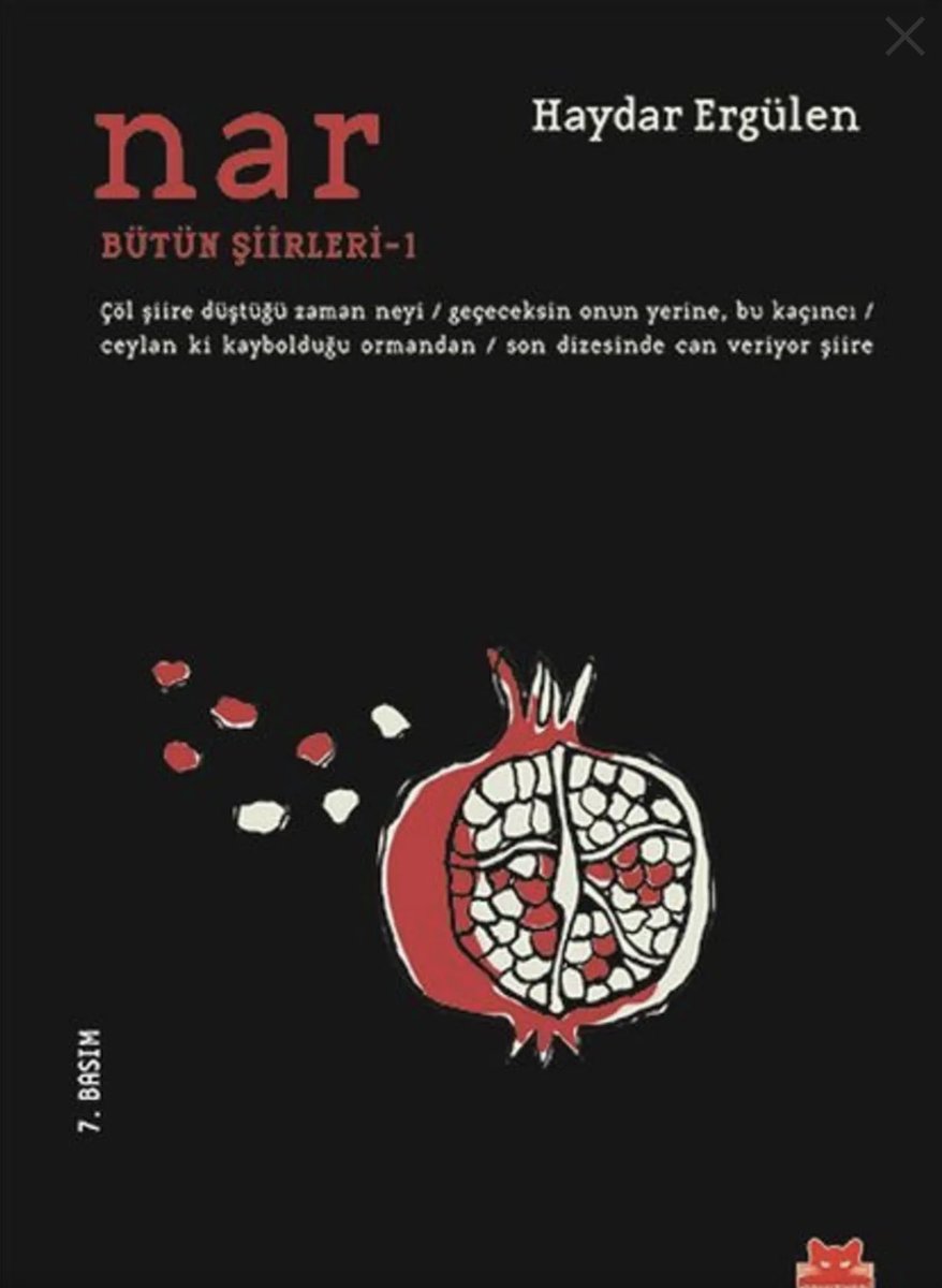 Dostlar,
şiiri aşk, şairleri kardeş ve akraba,farklılıklarımızı da zenginlik bilen,
şairlerin de sevdiği ve beğendiği alçakgönüllü ve kadirşinas bir şair Haydar ERGÜLEN bu  akşam (26 Nisan 2025) saat 22.00’de
YouTube kanalımda
“Zirve Şairlerimizden Şiirler” programımda
CANLI