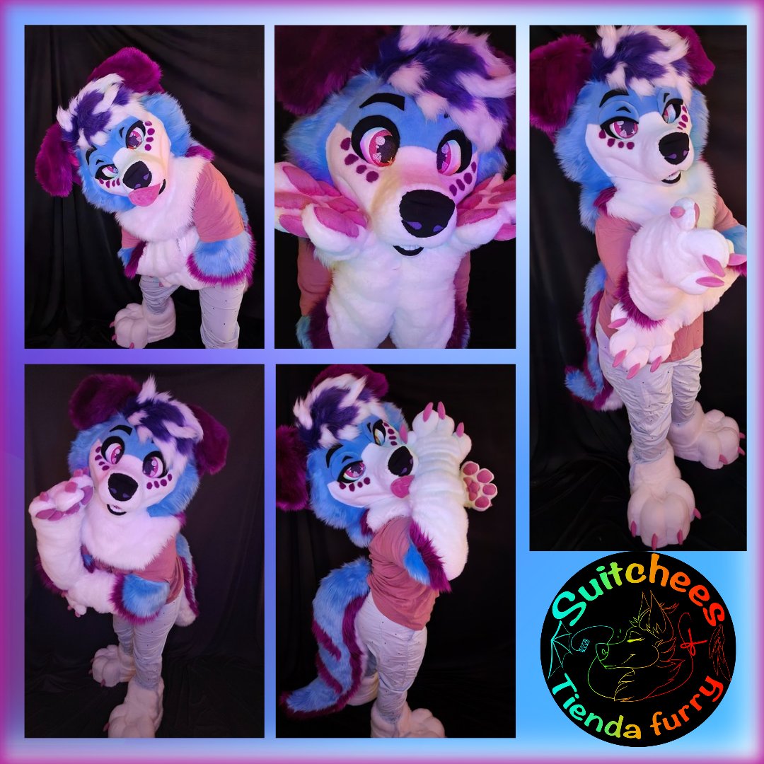 SuitcheesF's tweet photo. A beautiful border collie finishing and ready for shipping 😳✨️🌸🫶🥺🌸
#fursuiter #furmaker #FursuitFriday https://t.co/5OJRRO9Y1a