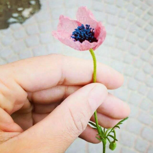 Маъюс бир гулдан сўрабдилар;
 Севмоқ ва унутмоқ недир деб??? 
«Севмоқ қоядан сув олмоқ каби қийиндир, унутмоқ сувдан қоя қилмоқ каби имконсиздир.» дебди!

✍Жалолиддин Румий қуддиса сирруҳу