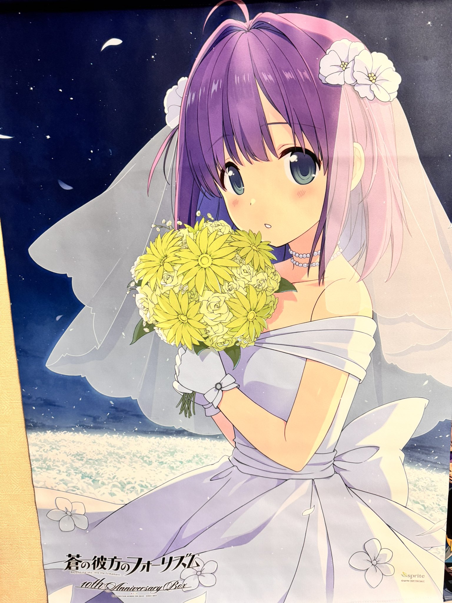 Naoki135@あおかな10周年🪶 (@itousami15396) / X Naoki135@あおかな10周年🪶 (@itousami15396) / X