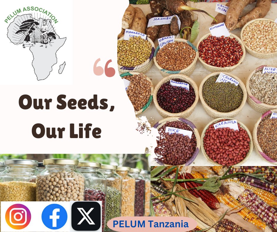 Happy Union Day and International Seed Day