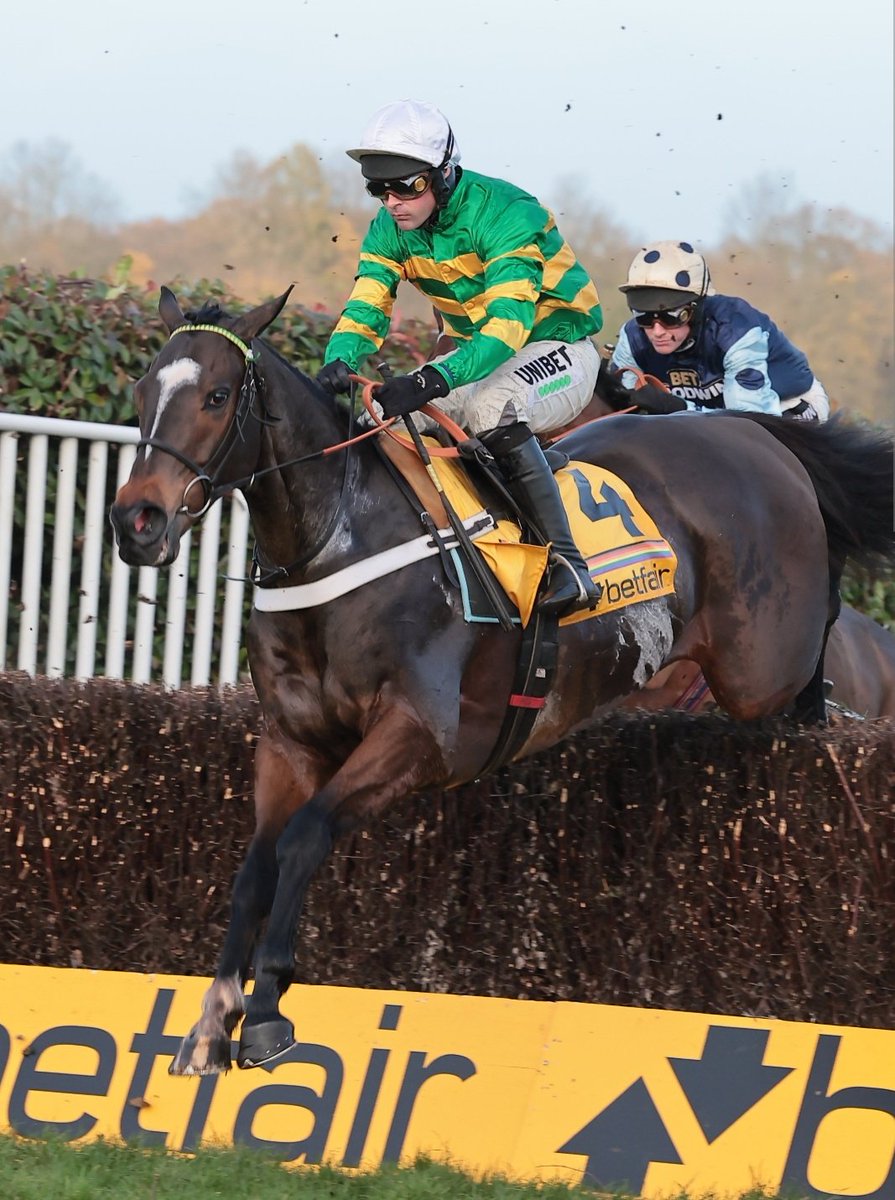 racingblogger's tweet photo. Happy Jonbon Day Everyone 💚💛 https://t.co/MnWwSsPYbv