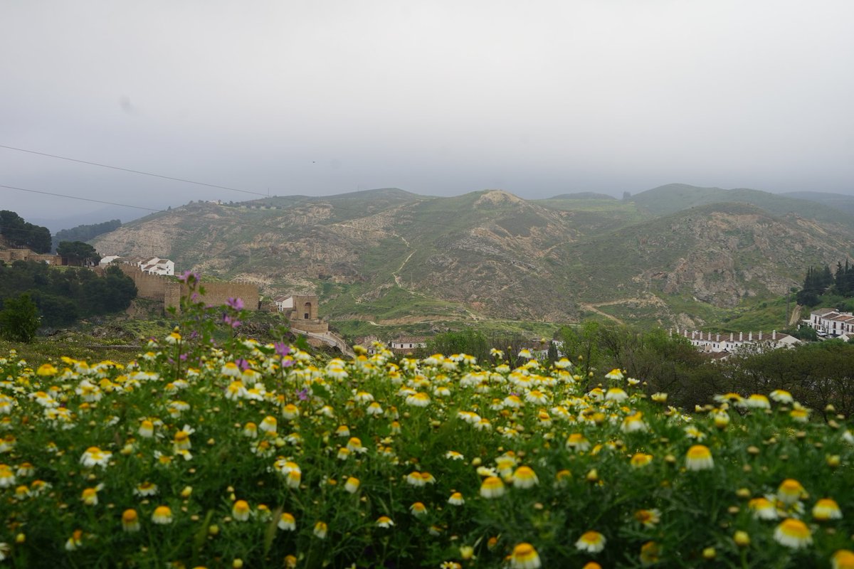 Mari Cortés tweet media