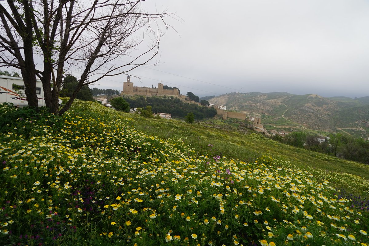 Mari Cortés tweet media