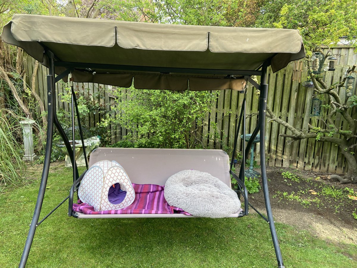 MadameMarmia tweet media