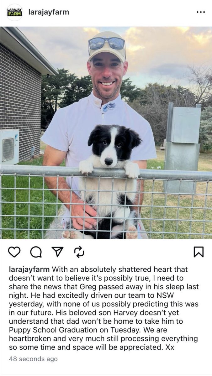 Michael Guerin tweet media