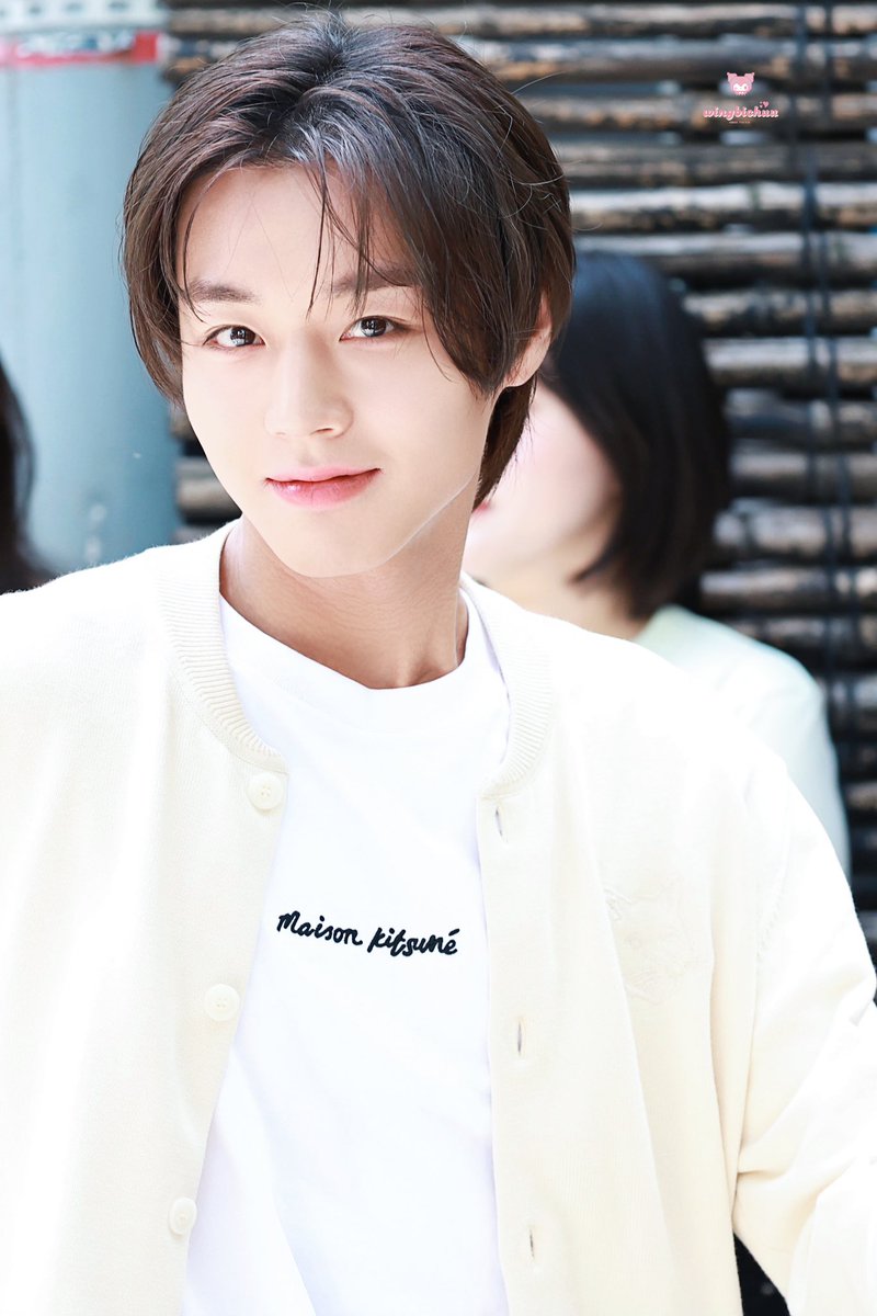 윙비츄 tweet media