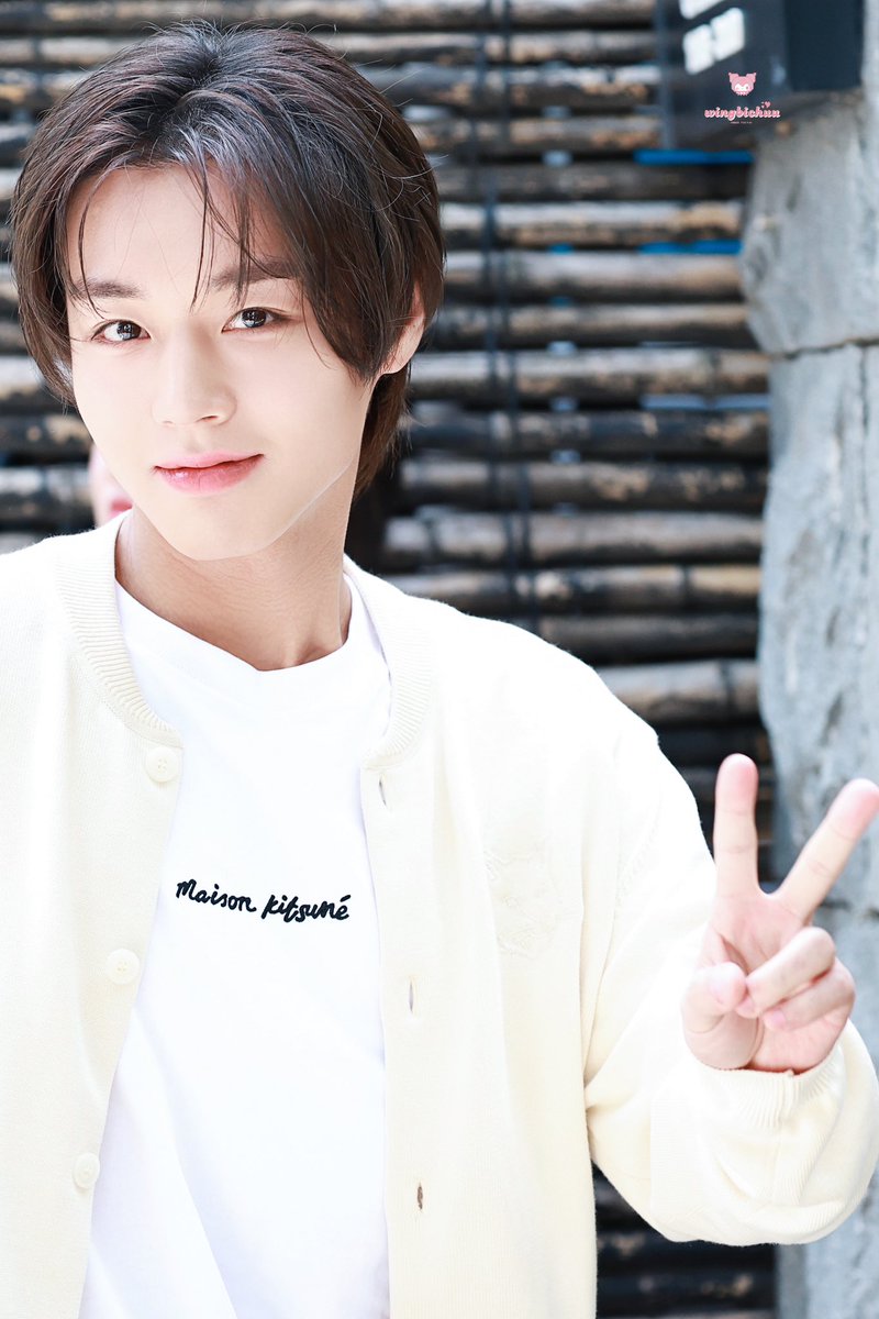 윙비츄 tweet media