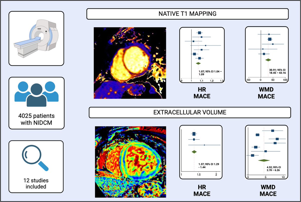 Federico Marchini (@feff93) on Twitter photo Just published on <a href="/ESCHeartFailure/">ESC Heart Failure Journal</a> our meta-analysis on the prognostic role of T1 mapping in NIDCM. Both T1 mapping and ECV were associated with increased risk of the primary endpoint of MACE and the secondary endpoint of heart failure and arrhythmic-related events. Just published on <a href="/ESCHeartFailure/">ESC Heart Failure Journal</a> our meta-analysis on the prognostic role of T1 mapping in NIDCM. Both T1 mapping and ECV were associated with increased risk of the primary endpoint of MACE and the secondary endpoint of heart failure and arrhythmic-related events.