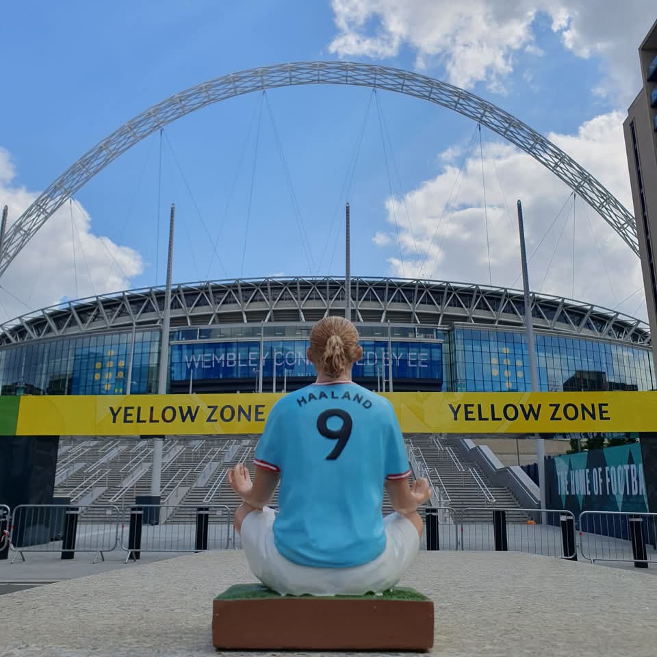 Thegingerwig tweet media