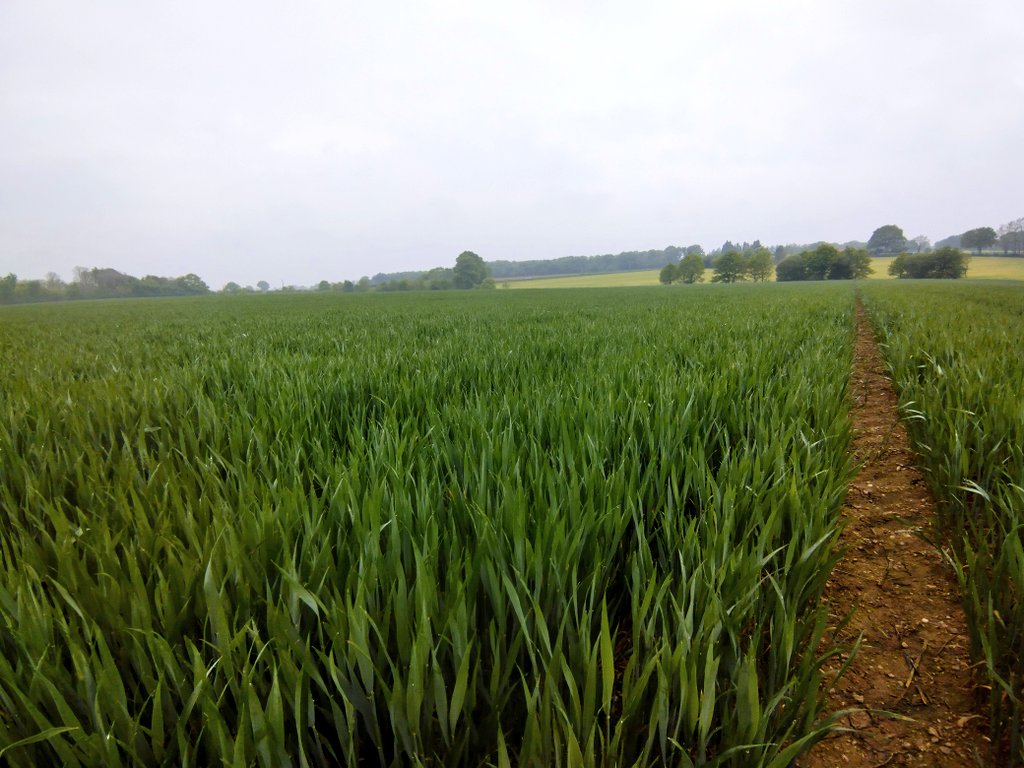 sylagri 🌾 🚜 🐂 🌸🌿 🇫🇷 tweet media