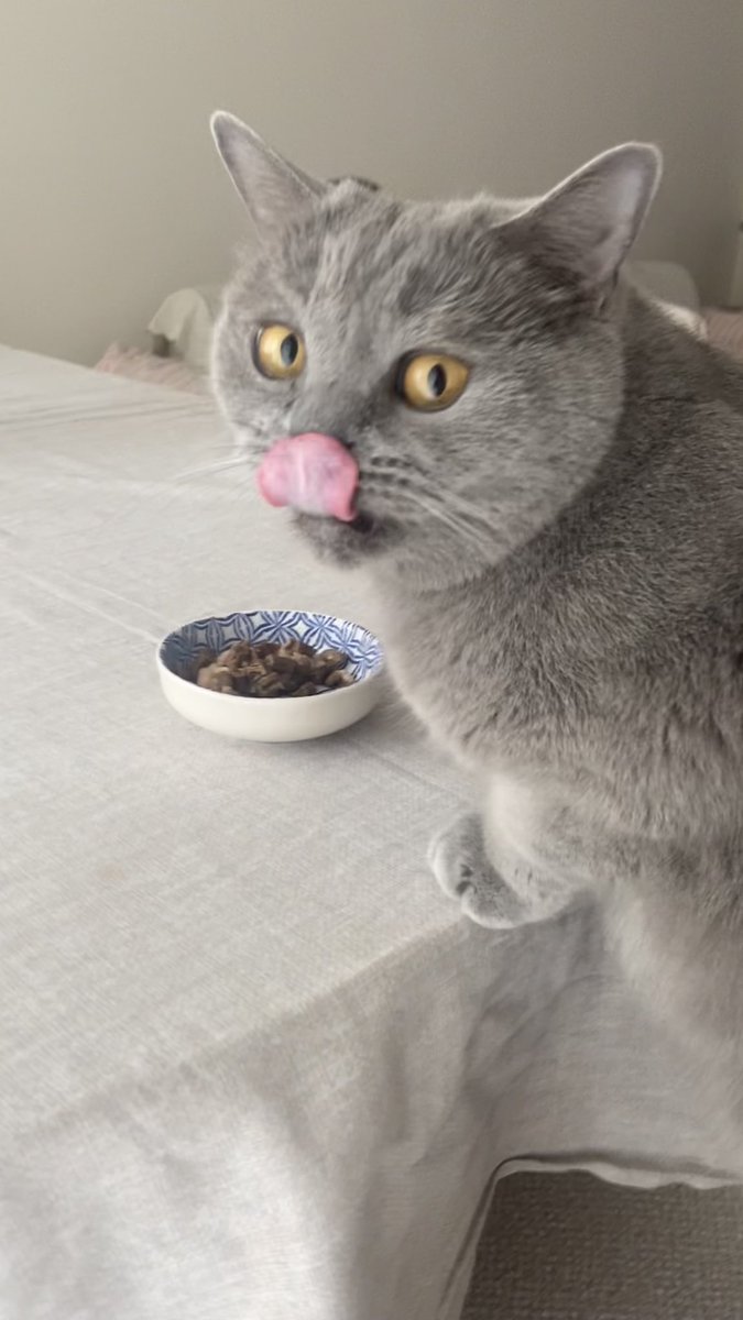 Mars yani akullu ve yakışnıknı tweet media