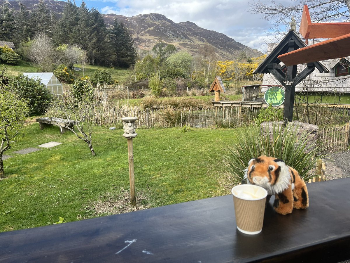 TopTigerTime's tweet photo. Quick coffee break on my recent trip to Skye/Wester Ross. If you are in the area I would recommend a visit to “Manuela’s wee Bakery.” It is a lovely place run by lovely people and is very close to a very nice castle.. 😊☕️🧁🏰🐯

#TopTigerTime https://t.co/38lkgNYKKH