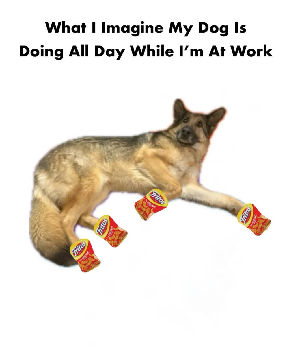 frank Garner (@frankoneiil) on Twitter photo 