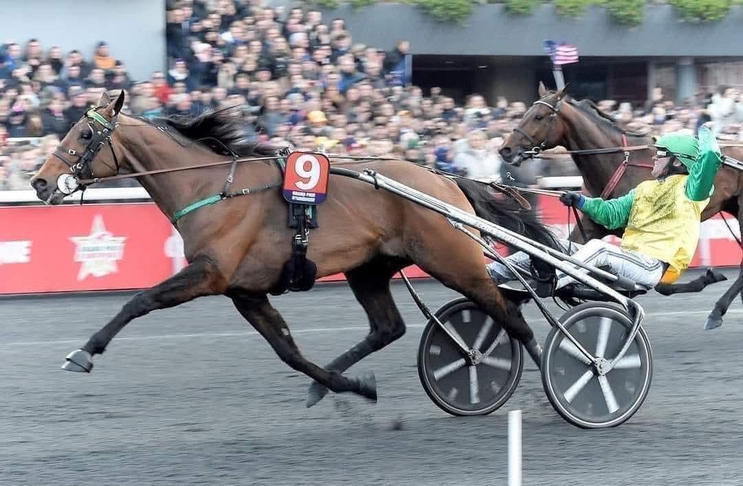 Looping Day #FaceTimeBourbon won the Prix Rene Palyart, Gr.II yesterday in Vincennes