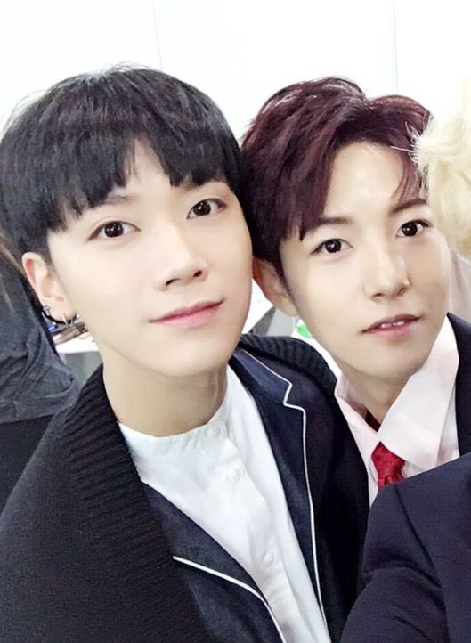 ลูกโย ลูกพั้น