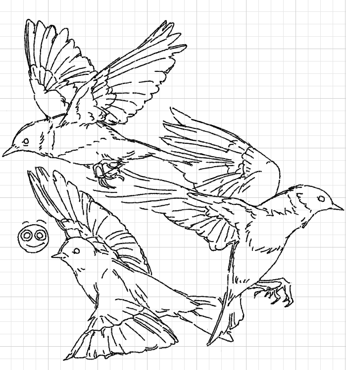 Tendan (@tendan2_) on Twitter photo 