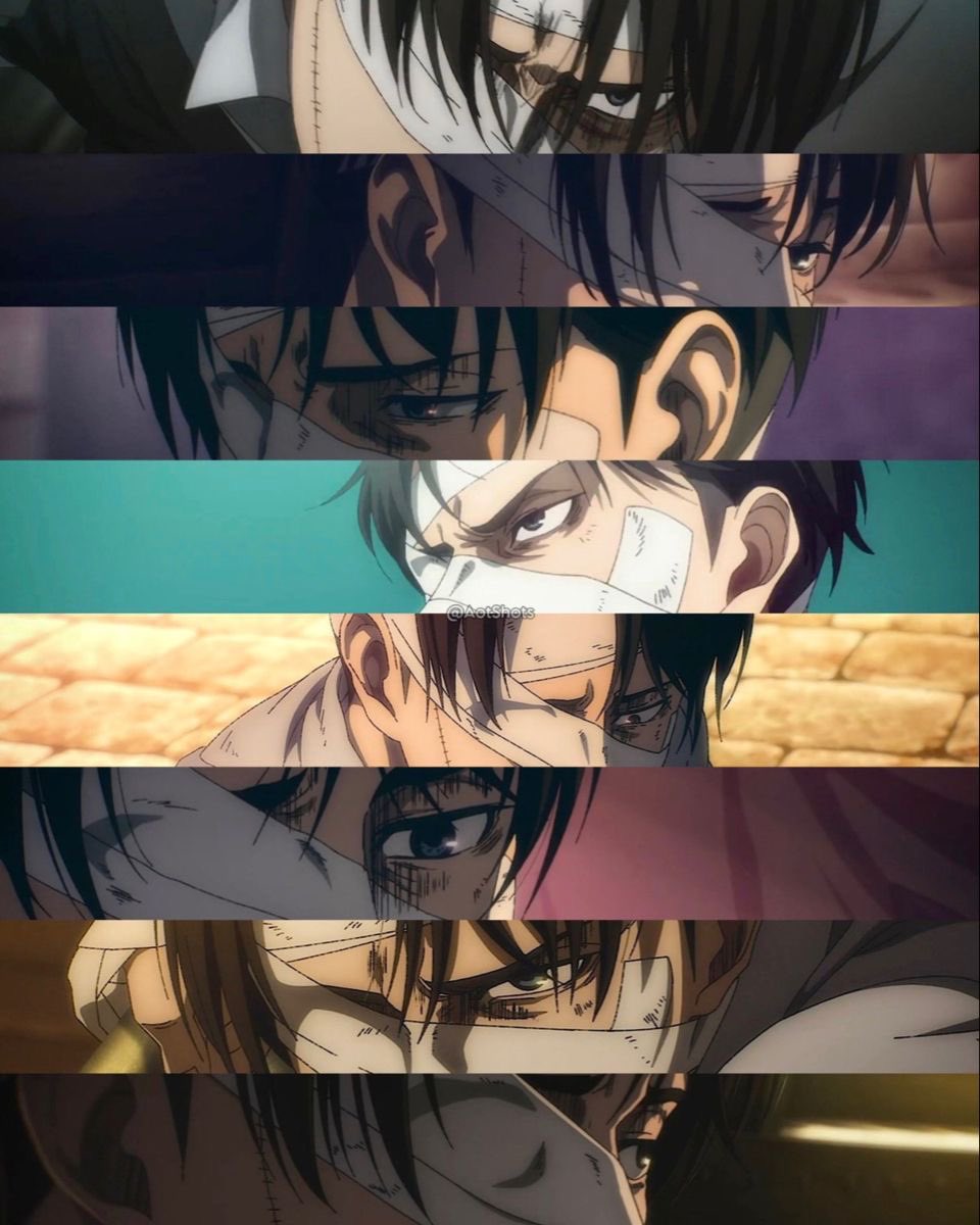 Mirleymed's tweet photo. Levi’s eyes are a work of art. https://t.co/8u6NFiHP3Z