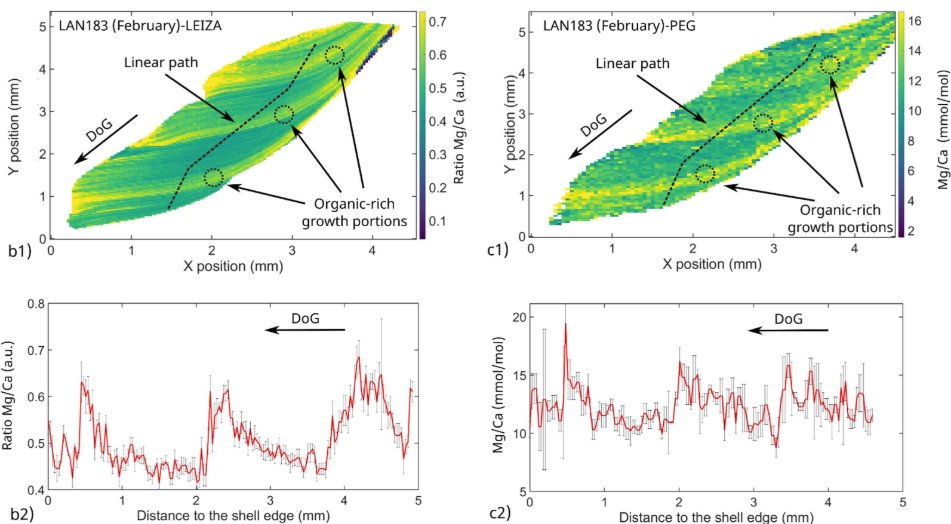 Asier García-Escárzaga (@asierge) on Twitter photo New paper in Microchemical Journal. An interdisciplinary research led by <a href="/jmmirapeix/">Jesús Mirapeix</a> and <a href="/AdolfoCoboUC/">Adolfo Cobo</a> ⬇️
A comparative analysis of elemental imaging of marine mollusc shells using Laser Induced Breakdown Spectroscopy. New paper in Microchemical Journal. An interdisciplinary research led by <a href="/jmmirapeix/">Jesús Mirapeix</a> and <a href="/AdolfoCoboUC/">Adolfo Cobo</a> ⬇️
A comparative analysis of elemental imaging of marine mollusc shells using Laser Induced Breakdown Spectroscopy.