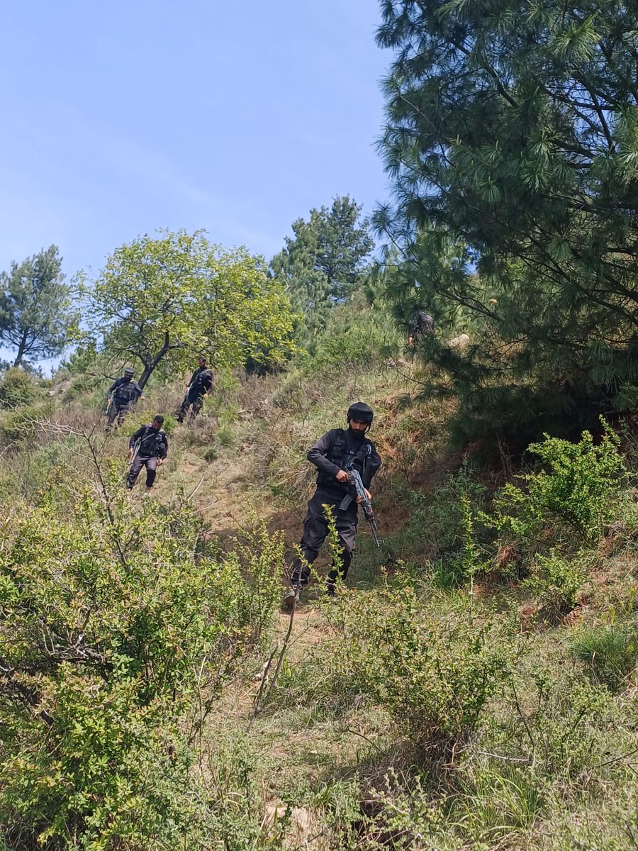 GulistanNewsTV's tweet photo. Police Kokernag have launched intensive search operations in the Larnoo belt of upper Kokernag, South Kashmir.
#Kokernag #Larnoo #SearchOperation
#SouthKashmir #PoliceAction #SecurityAlert https://t.co/jgjRyAA8eF
