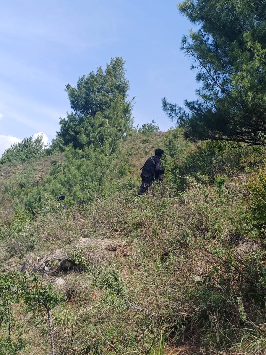GulistanNewsTV's tweet photo. Police Kokernag have launched intensive search operations in the Larnoo belt of upper Kokernag, South Kashmir.
#Kokernag #Larnoo #SearchOperation
#SouthKashmir #PoliceAction #SecurityAlert https://t.co/jgjRyAA8eF