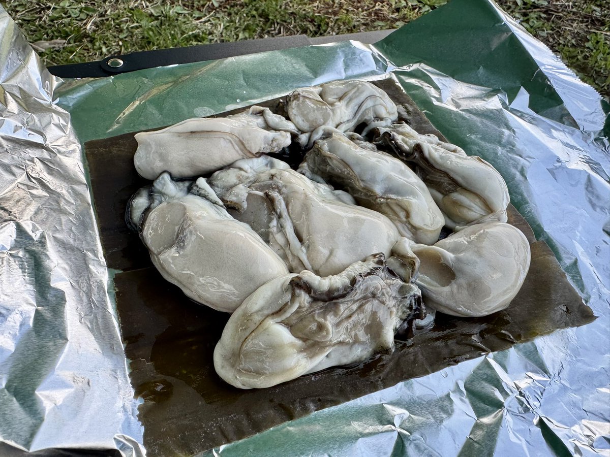 白馬エリアのポタリングを満喫して、キャンプ場🏕️にチェックインしてサクッと設営。
今回のお楽しみごはんは、能登の牡蠣と日本酒🦪🍶まずは大ぶりなやーつを昆布じめに仕込んでいきます。