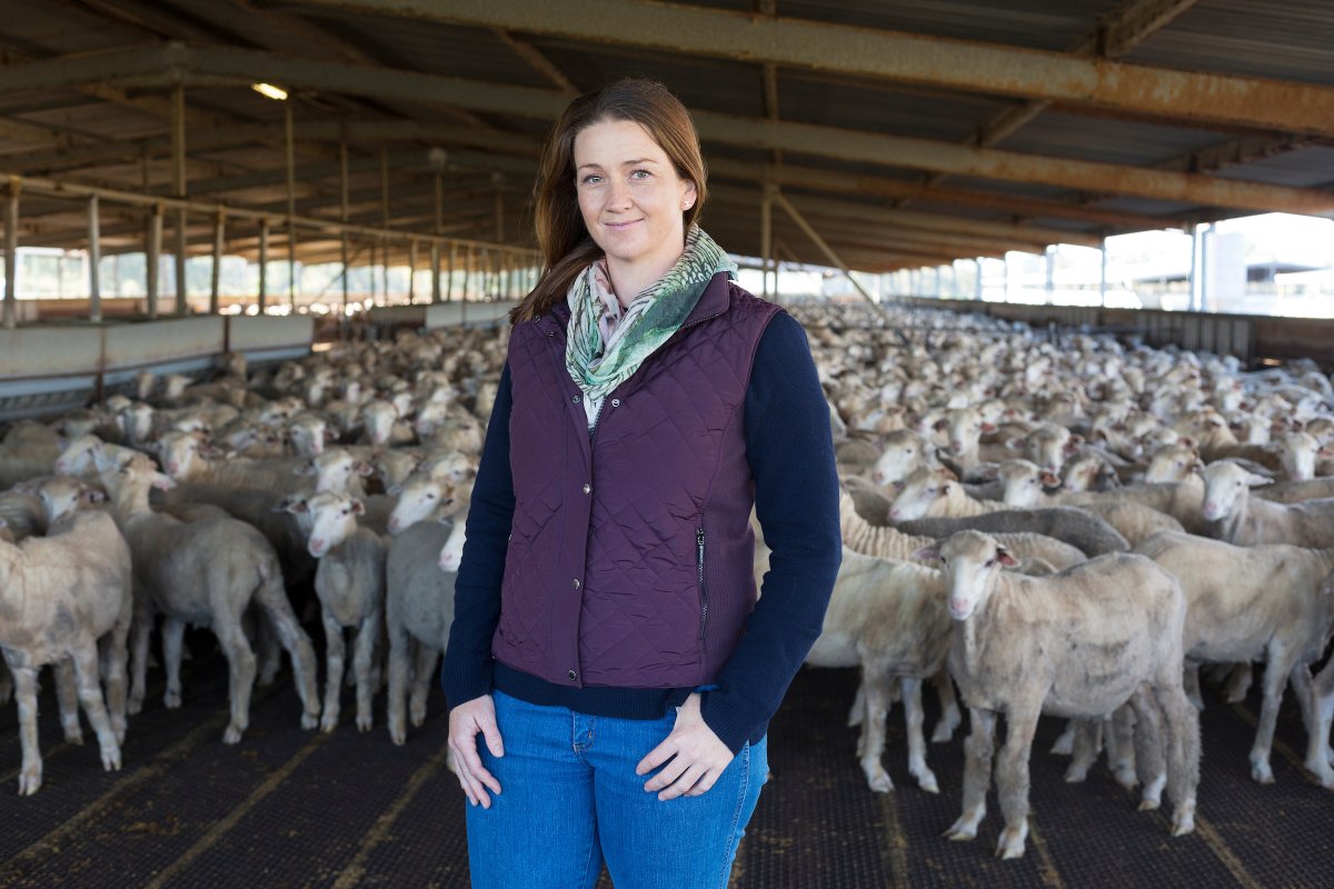 Today is #WorldVeterinaryDay 🩺

Let’s celebrate the professionals who keep animals healthy, protect our food supply, defend against disease, and support global health.

Thank you, veterinarians. The world runs better because of you. 🌍🐾