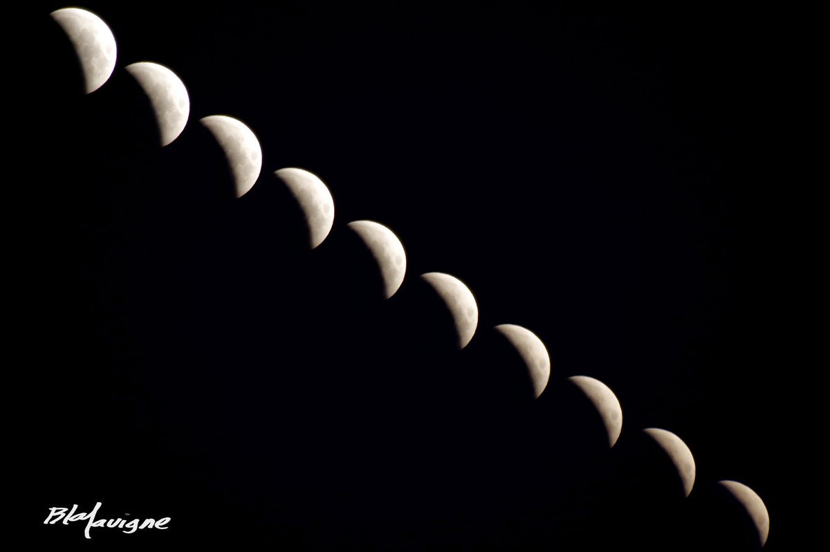 Esther tweet media