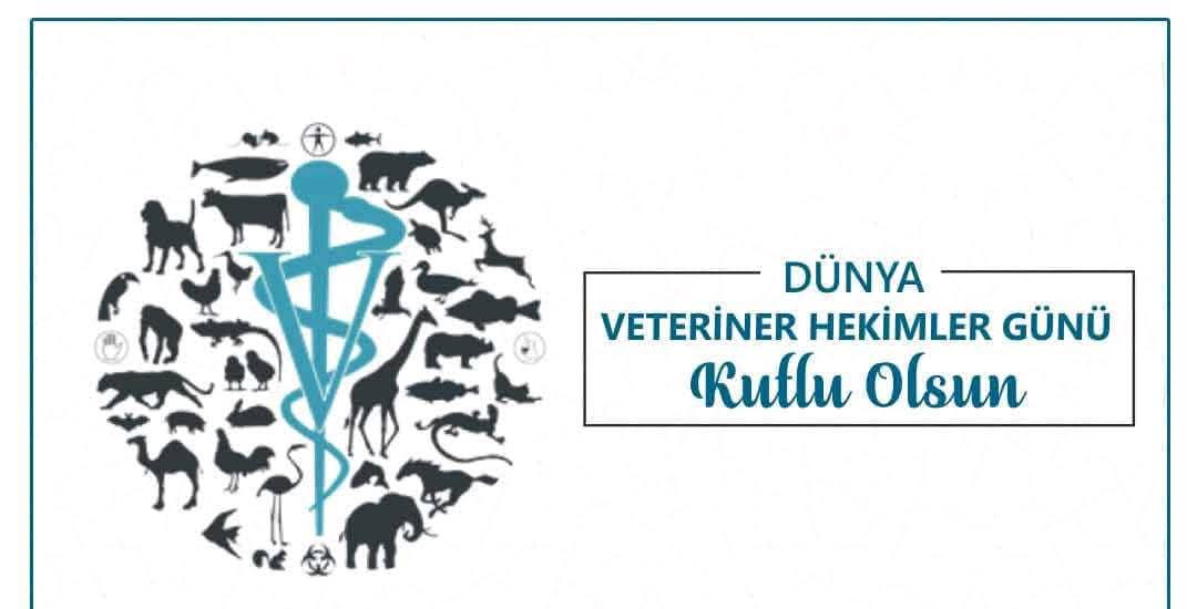 HalilVeteriner's tweet photo. Hayvan sağlığı, hayvan refahı, gıda güvenilirliği ve halk sağlığının korunması kapsamında özveri ile çalışan tüm veteriner hekim meslektaşlarımın
, “Dünya Veteriner Hekimler Günü” 
kutlu olsun.
#DünyaVeterinerHekimlerGünü https://t.co/NhNLyBesYP