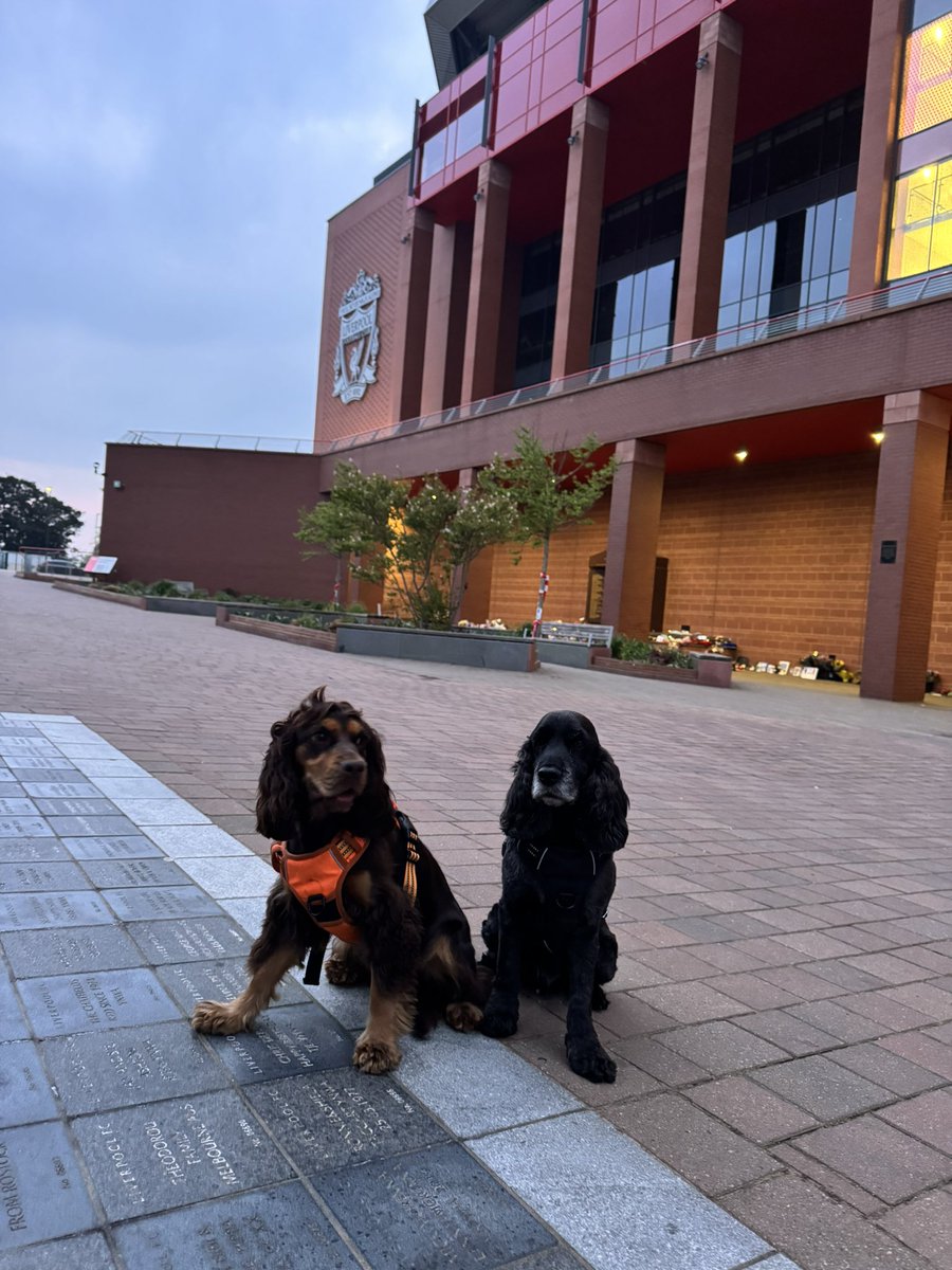 Neil Pullar 🍋 tweet media