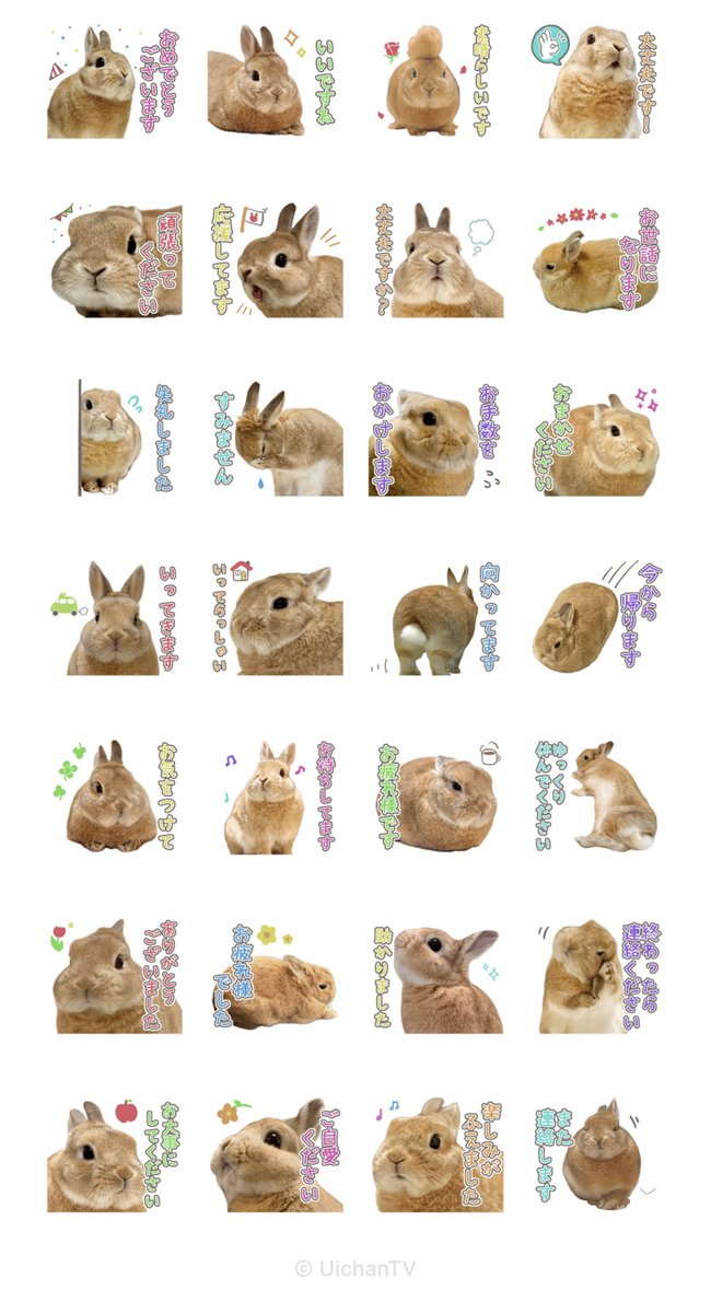 うさぎのうい🐰 (@8bunme_yyu) / Posts / X