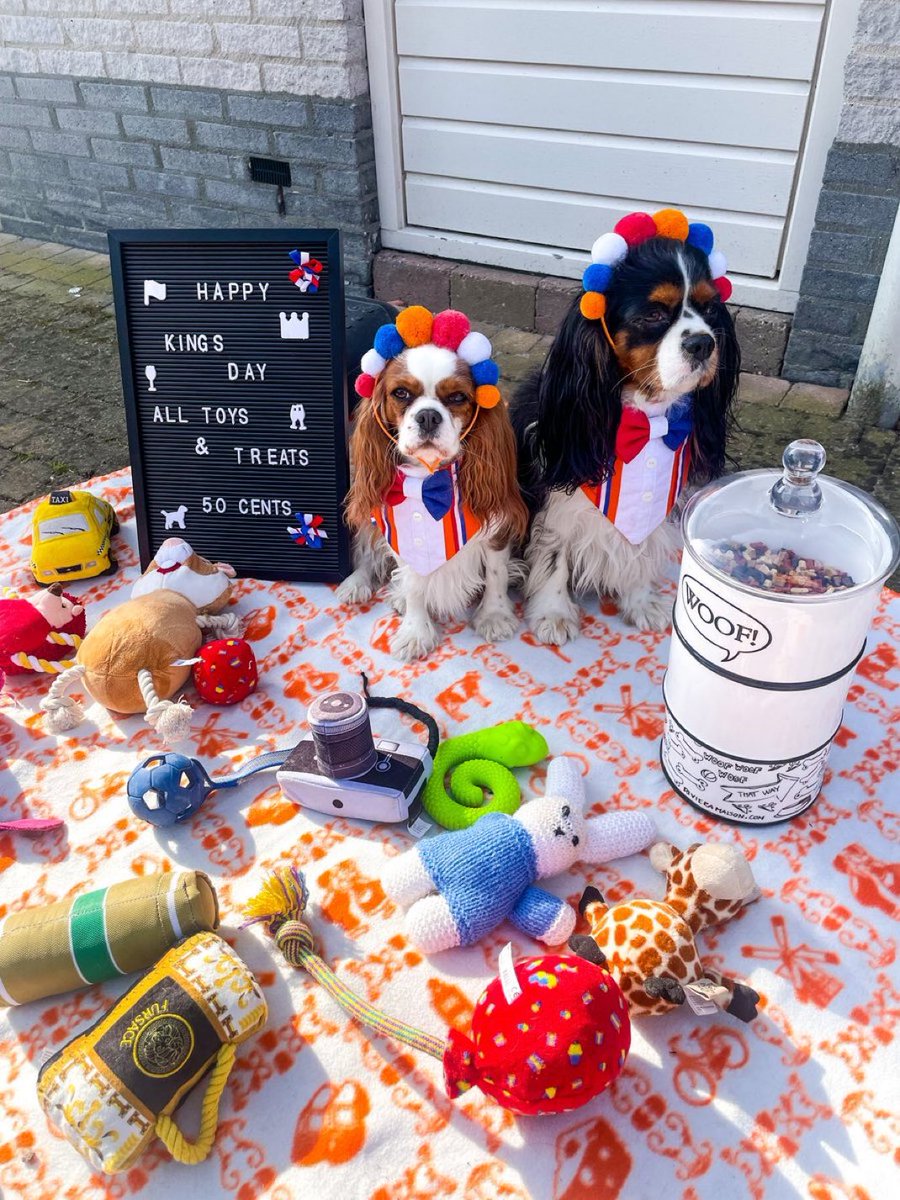 Marijscheepens's tweet photo. Wij zijn er klaar voor  koningsdag 2025 
#Koningsdag2025 #kleedjesmarkt @omroepbrabant @WNLVandaag @telegraaf https://t.co/rY5QQF0ewT