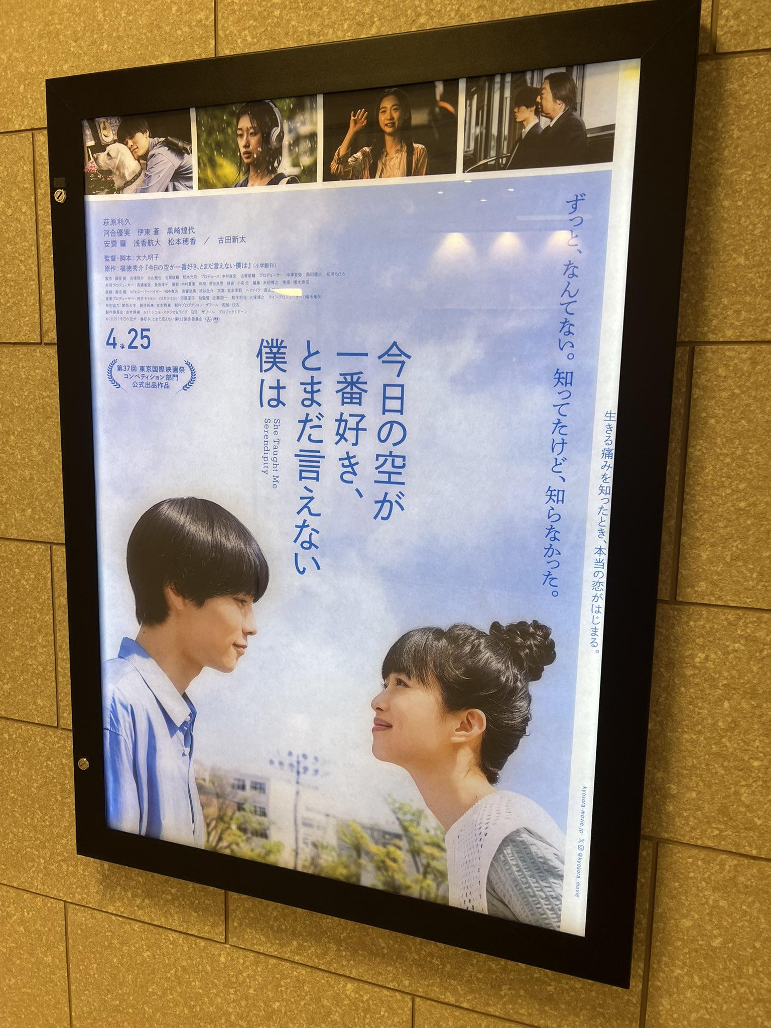 ゆうパパ (@sukima0293) / X