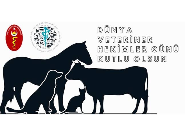 Veterinerlerimizin hakkı ödenmez,
Varolun  🙏