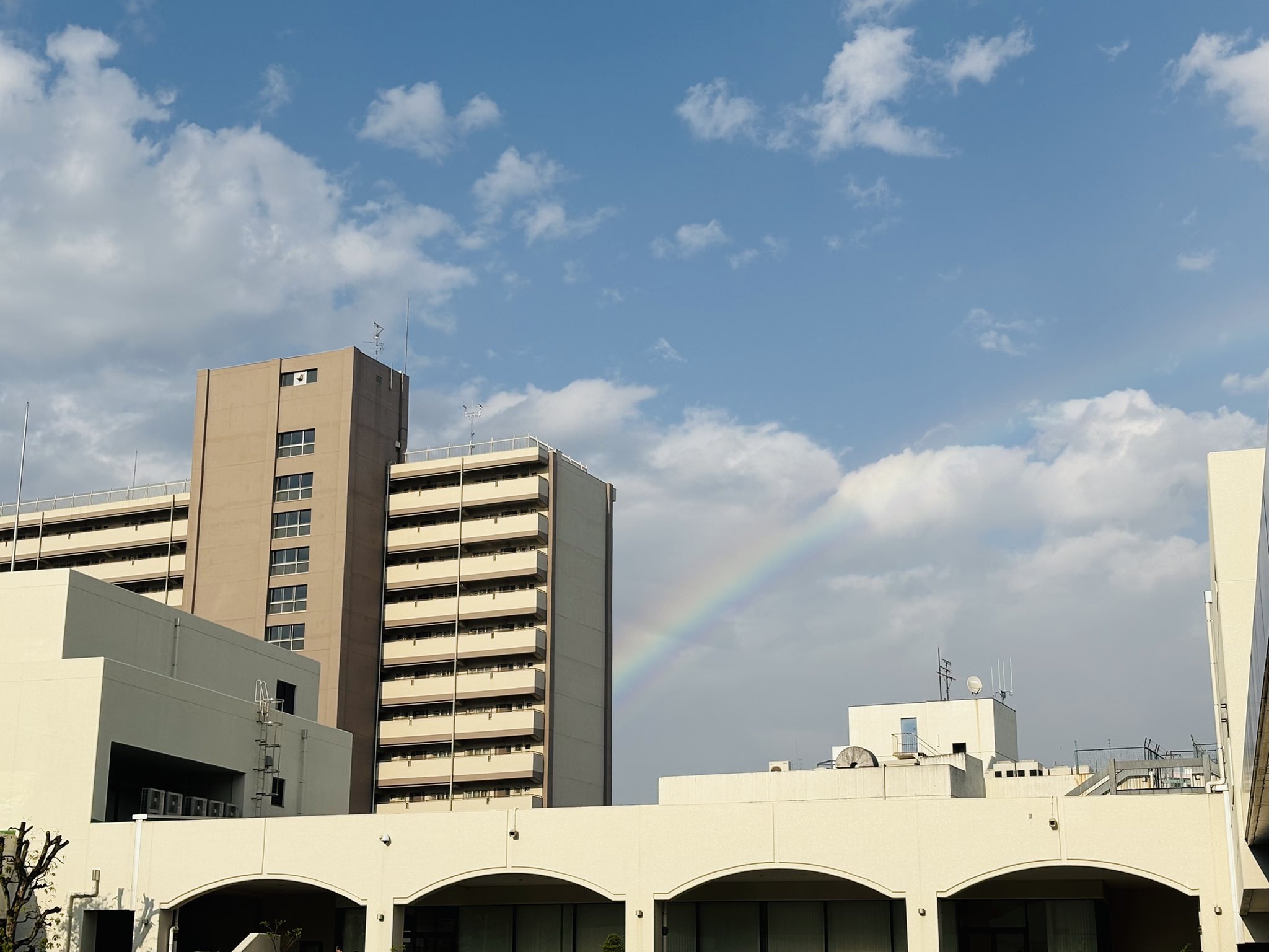 令和7（2025）年度東京大学第2次学力試験】化学［第3問］解答