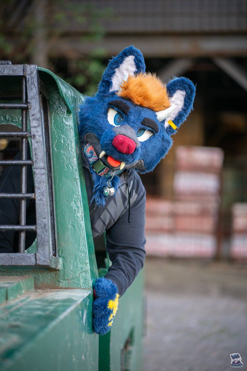 On my way to Ruhr Furmeet.

📸 <a href="/SamyoFox/">SamyoFox</a>

———
#furry #furryfandom #fursona #furries #fursuit #furrycommunity #anthro #fursuiter #fursuiting #furrys