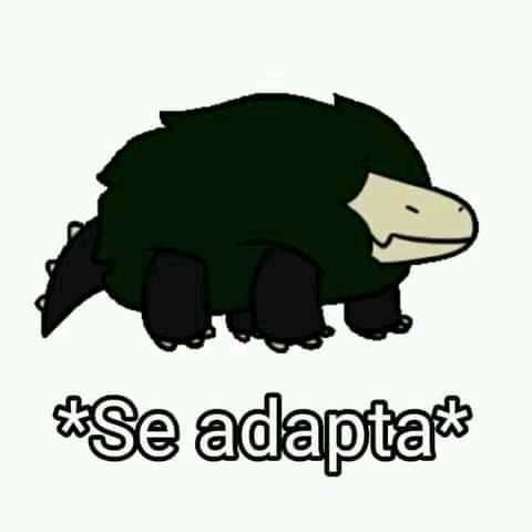 DRAGONITE /2da version tweet media