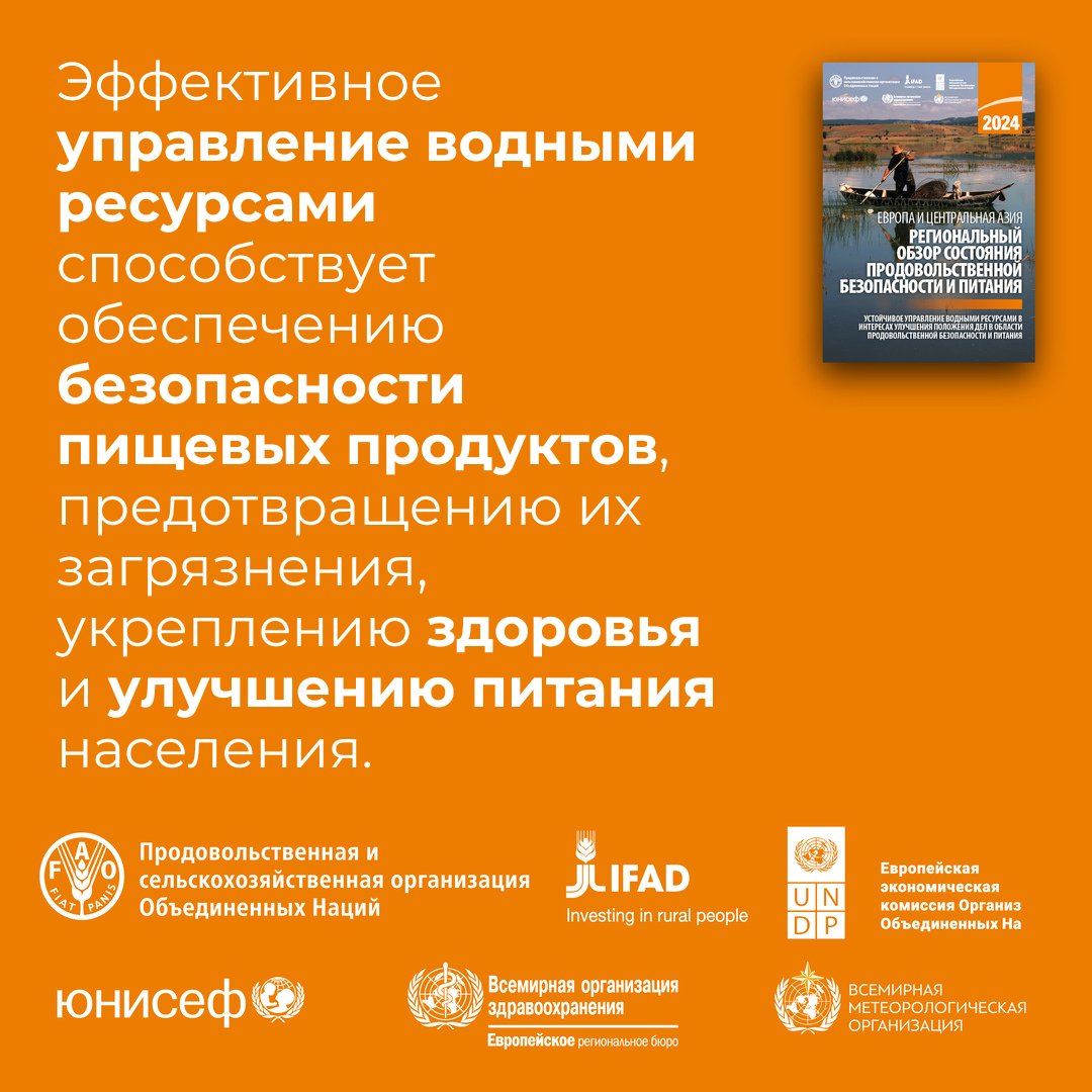 «Региональный обзор состояния продовольственной безопасности и питания в Европе и Центральной Азии 2024» подчеркивает роль устойчивого управления водными ресурсами в улучшении продовольственной безопасности и питания. 

Подробнее 👉 doi.org/10.4060/cd4739…