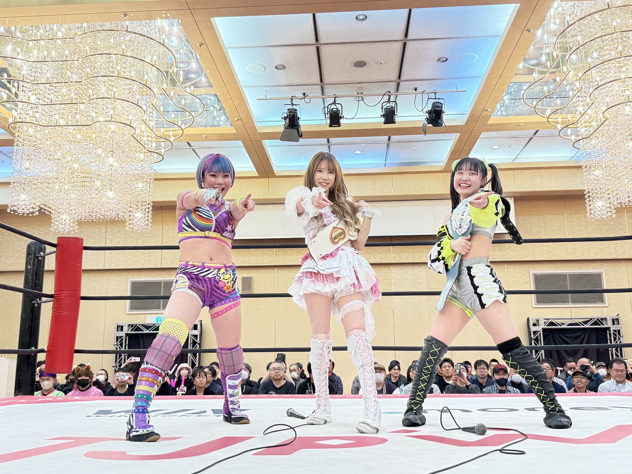 東京女子プロレス辰巳リカポートレート＆チェキセット