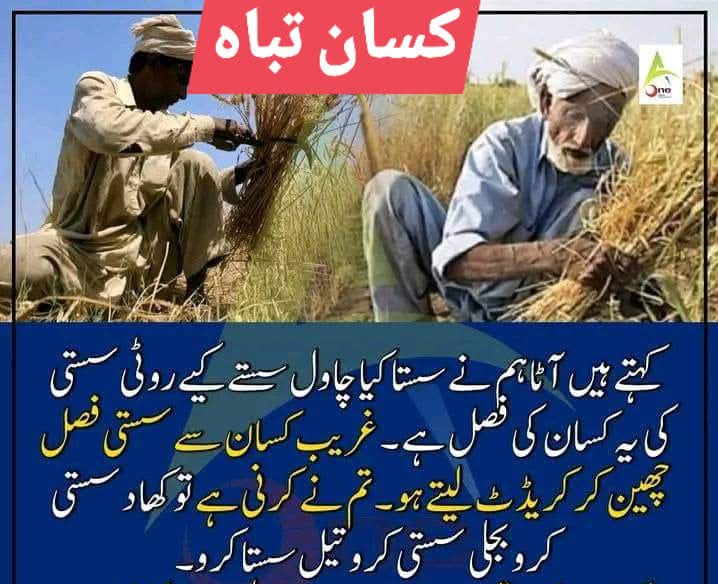 ptwofficially's tweet photo. کسانوں کا معاشی قتلِ عام کر کے کہتے ہیں کہ ہم نے غریب کی روٹی سستی کی ہے کیا غریب صرف روٹی ہی کھاتا ہے؟ گھی چینی دال فروٹ پٹرول اور باقی چیزوں کی ضرورت نہیں کیا ان کو
اصل میں یہ حکومت کسان دشمن حکومت ہے
 میاں خرم جہانگیر وٹو 
#NA138 #PP188 #PP189 https://t.co/Dw9FUzasrg