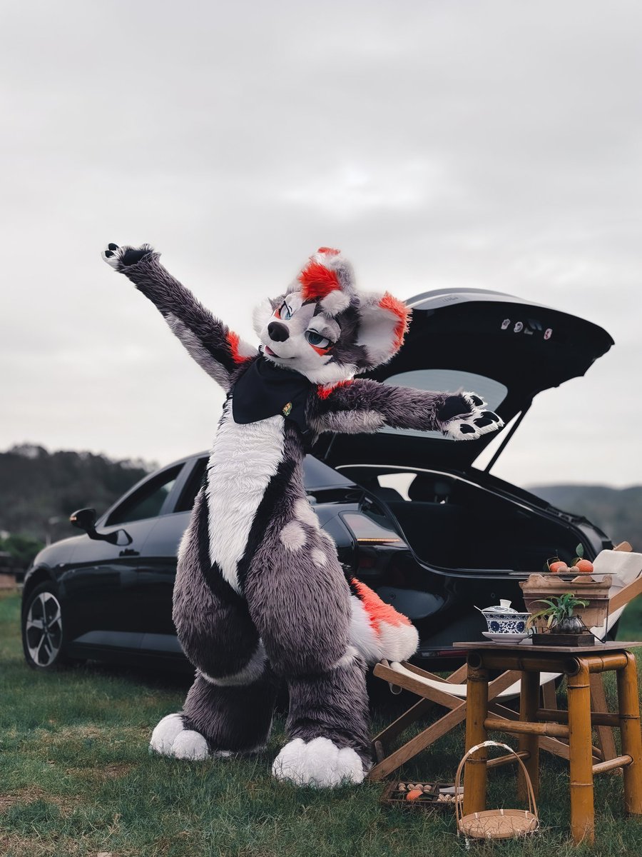 小埃同学 tweet media