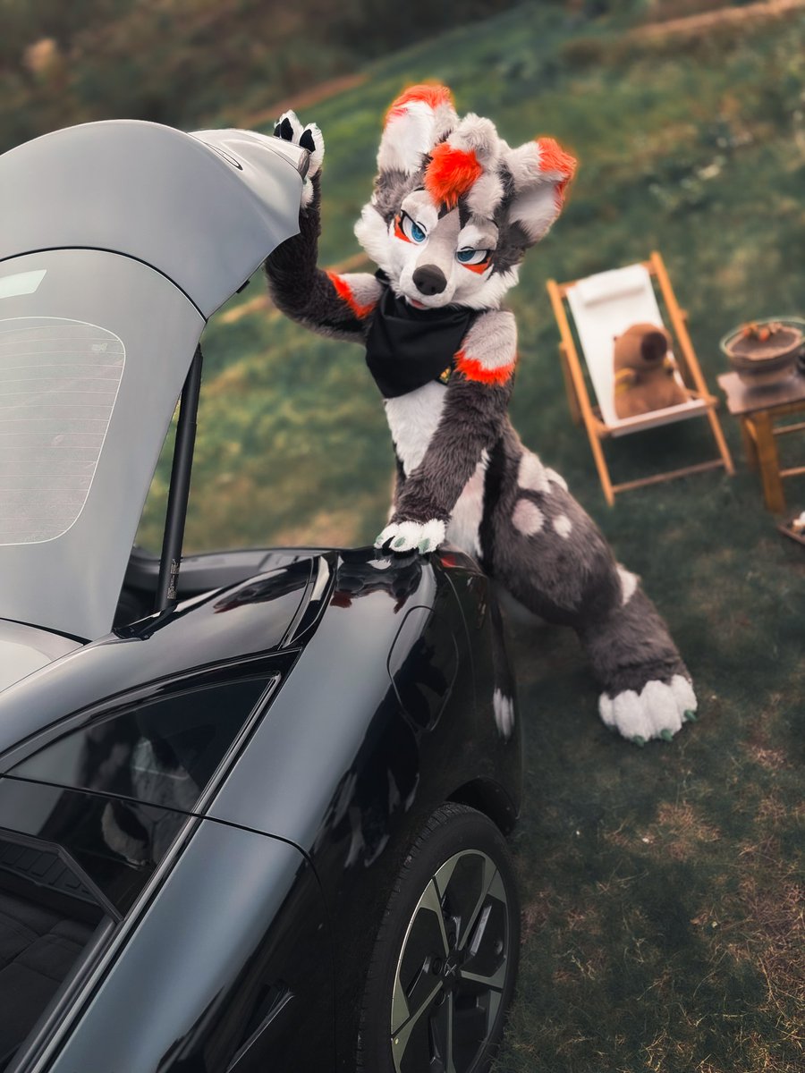 小埃同学 tweet media