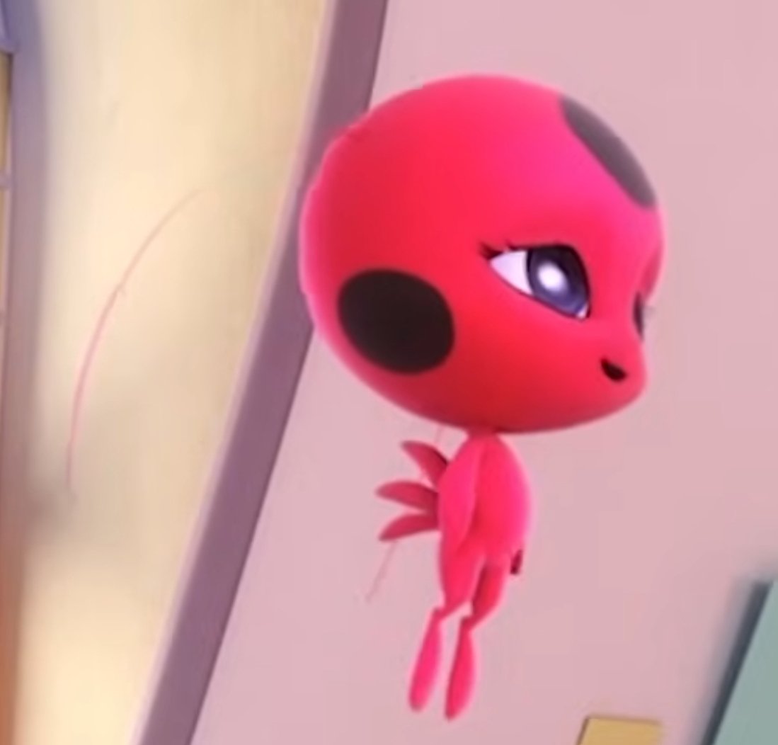 포동포동함...티키 너무 귀엽다..ㅠㅜ