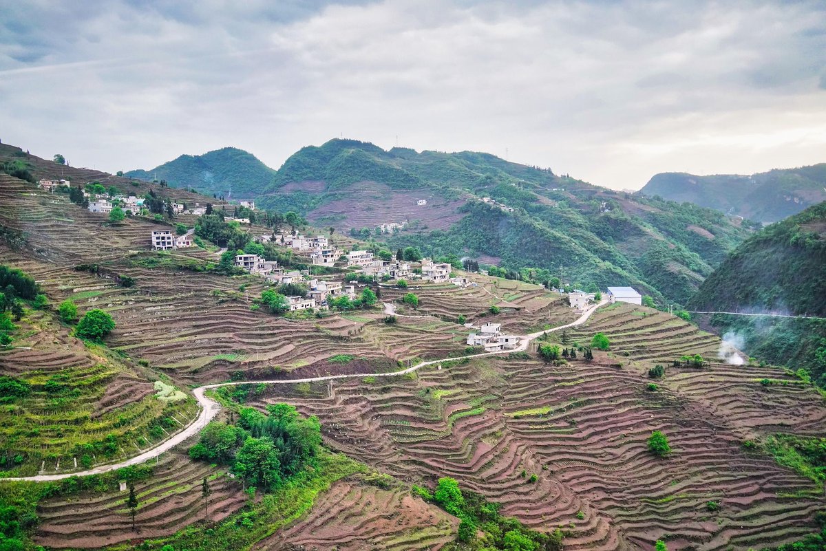 GoGuizhou's tweet photo. Layer by layer, Guizhou’s rice terraces tell a story of harmony between people and nature, where every curve is carved with care. 🌾⛰️ https://t.co/43v6sqVN7M