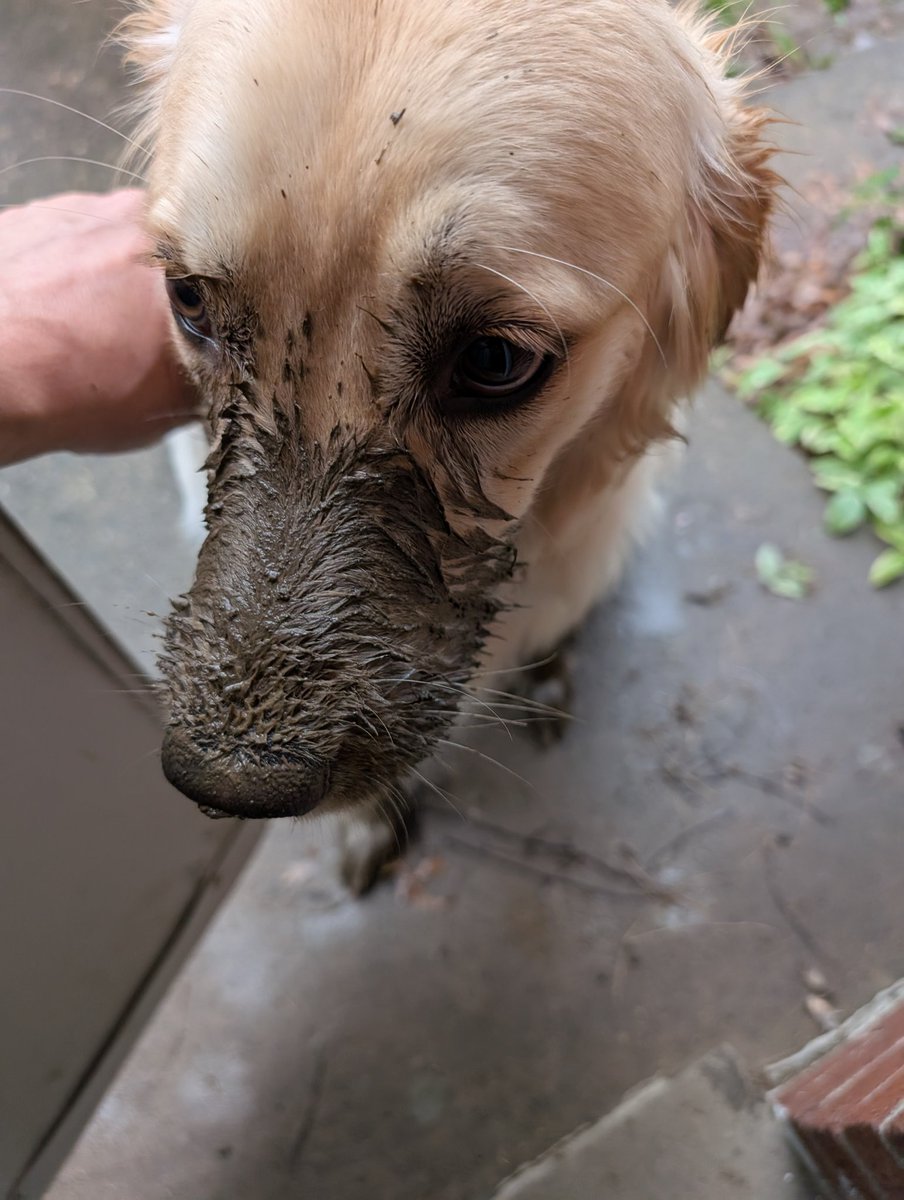 I'm ready to come in dad