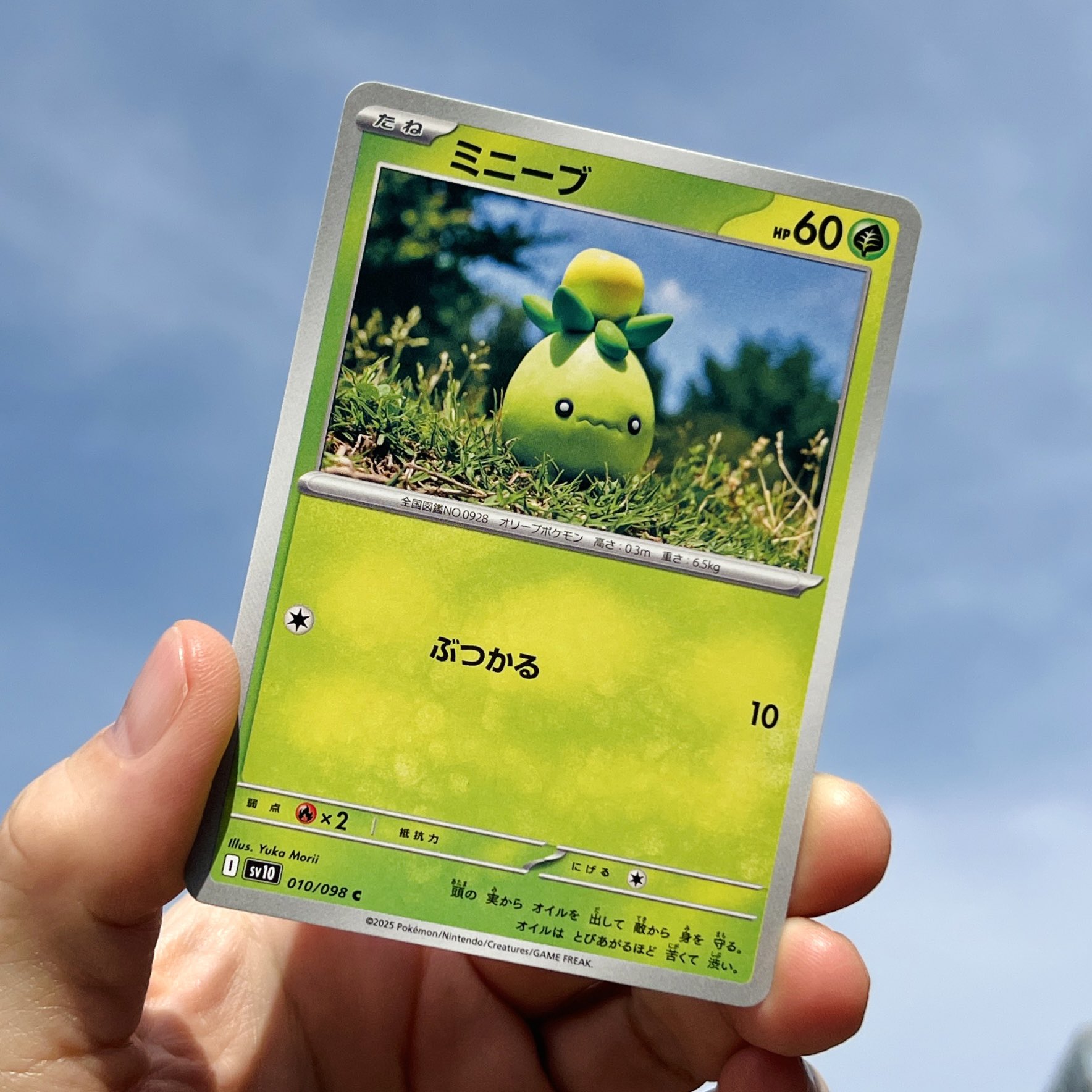 ポケモンカードゲーム 森井ユカ Yuka Morii全99枚 被りなし