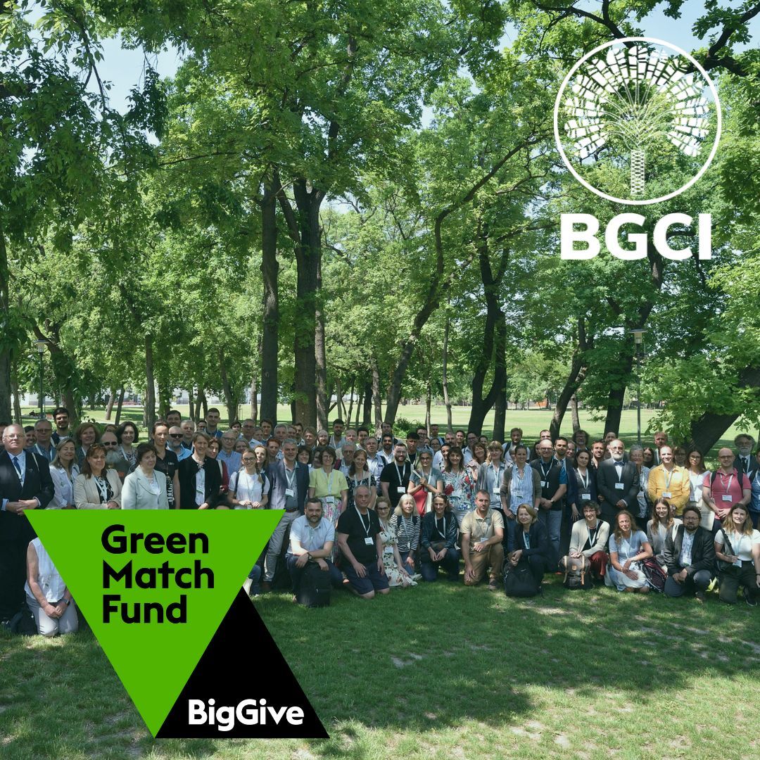 bgci's tweet image. GHG concentrations are at highest levels in 2 million years &amp;amp; rising - what can #botanicgardens do to support their #localcommunities &amp;amp; help stop the upward trend? 
Support our work in exploring next steps in our @BigGive Green Match Fund campaign: buff.ly/E2k9SMP