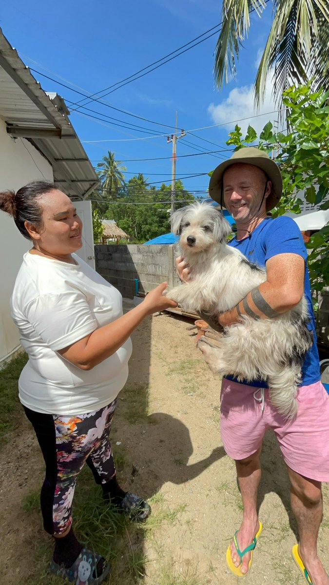 NiallHarbison's tweet image. Most of all I’m looking forward to mum Selena just being able to be a puppy herself soon. 

The weight of the world is slowly coming off her shoulders. 

The hardest part of her life is over. All fun and love from here on in (6/6)