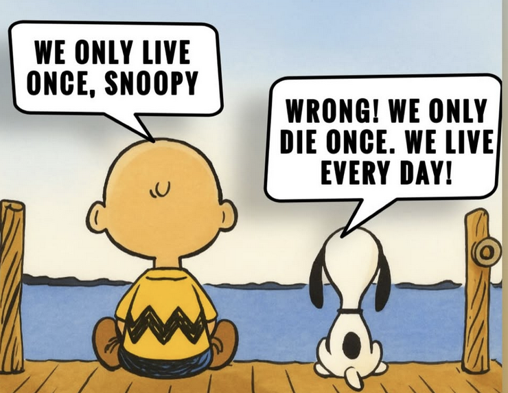 Jon Bonas tweet media