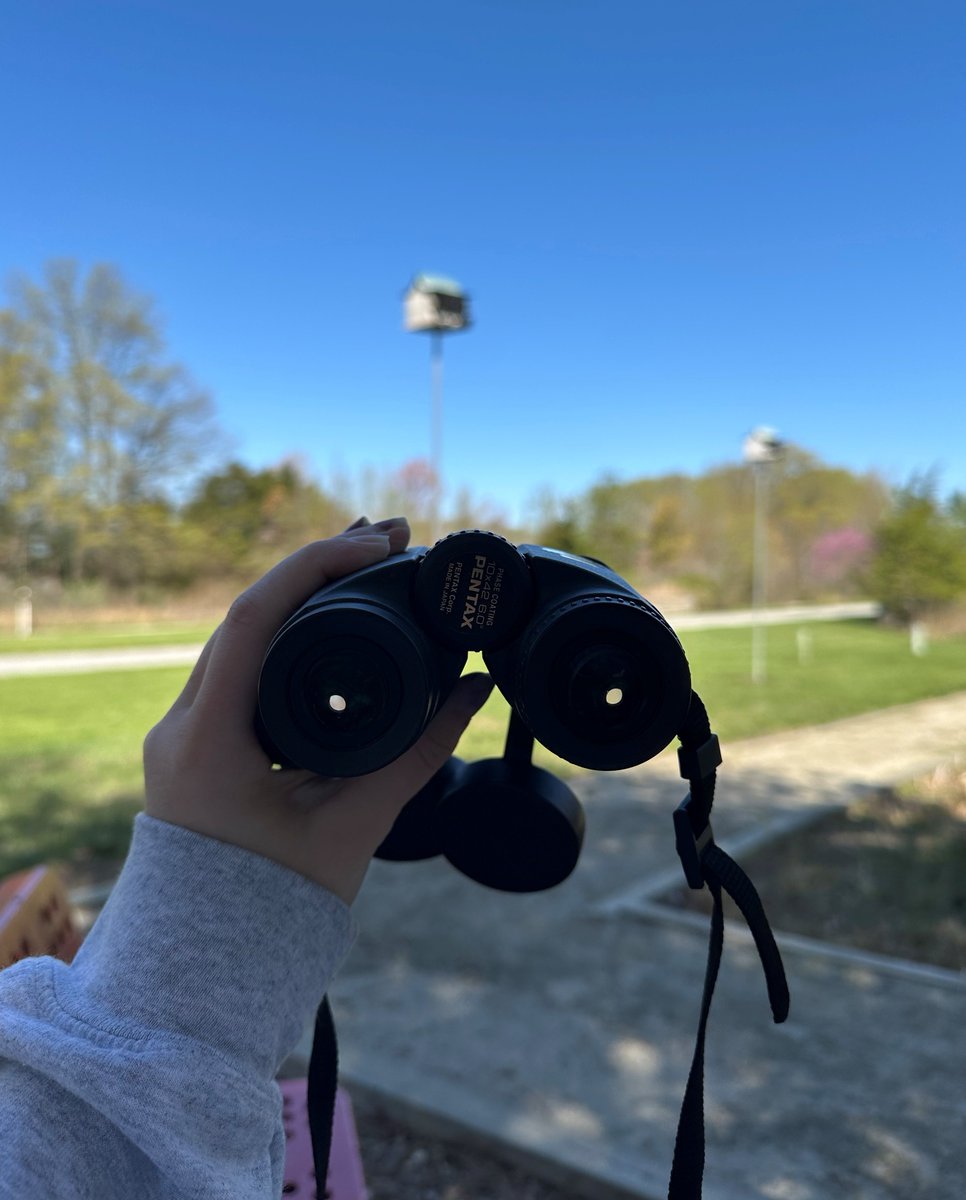 It's National Go Birding Day! It doesn't matter if you're a beginner or pro, birding can be fun for anyone. Pick a spot at the St. Jones Reserve or Blackbird Creek Reserve, be patient and quiet, and the birds will start to flock in!